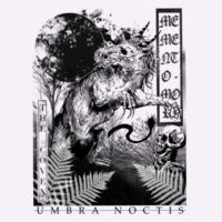 UMBRA NOCTIS  Design